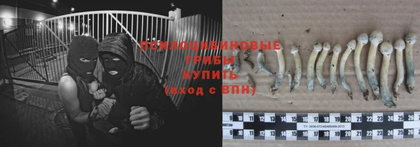 марихуана Дмитровск
