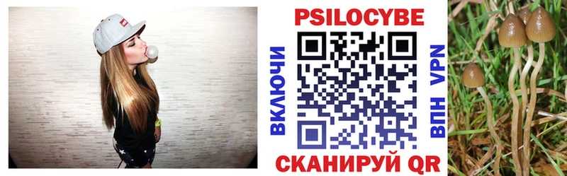 Галлюциногенные грибы Magic Shrooms  Купить где  Катав-Ивановск 